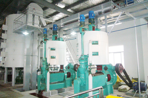 Espulsore automatico della stampa di olio della vite per il seme di ravizzone/seme di cotone 18.5KW